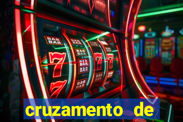 cruzamento de cavalo com jumenta globo rural